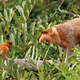 Image for article titled Nature Photos That Will Rock Your World